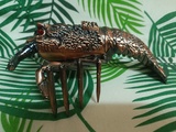 Mechero langosta