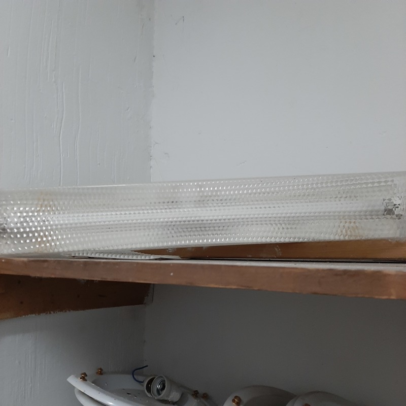 Plafón y fluorescente