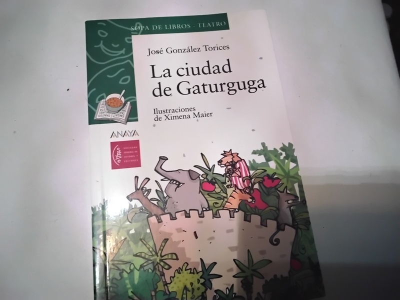 LIBRO INFANTIL 4