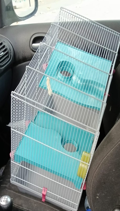 Regalo jaula roedores 