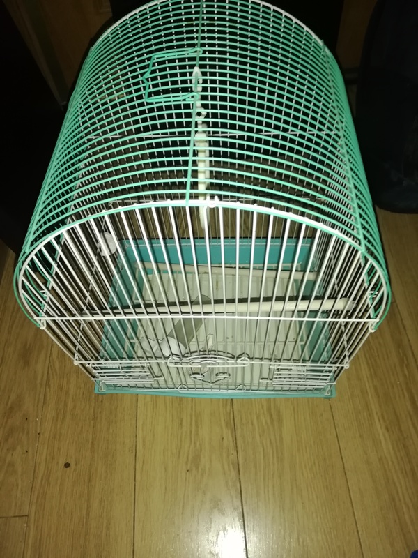 Regalo jaula 