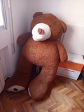 Oso peluche gigante 