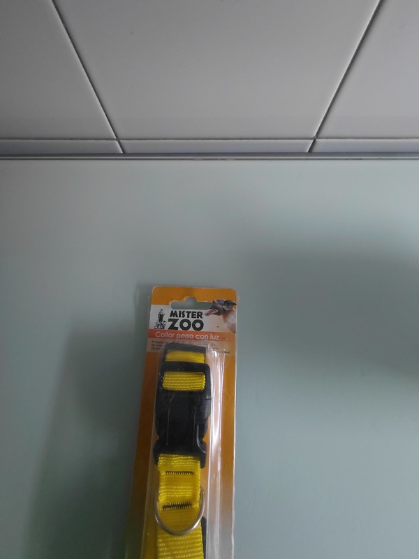 Collar para perro mediano con luz