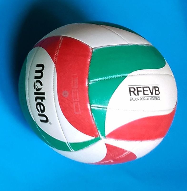 Pelota oficial de voleibol 