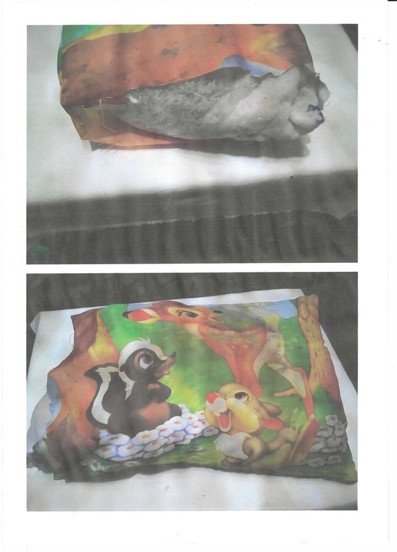 COJIN DE BANBI  DE 0.40 X 0.30