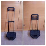 Carrito de asa telescópica 