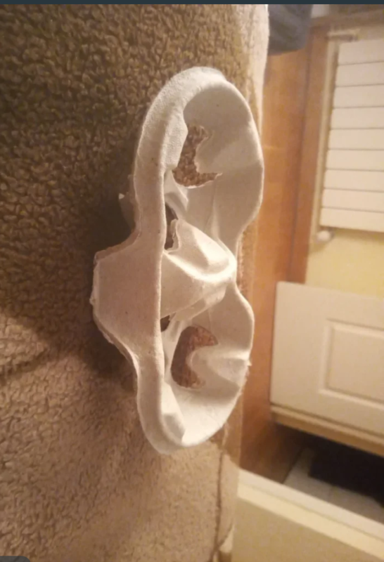 Regalo porta cafés.