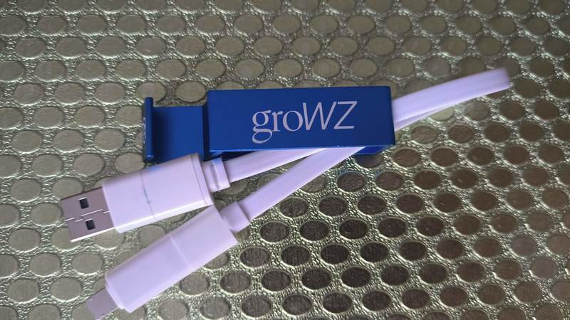 Adaptador multipuerto groWZ