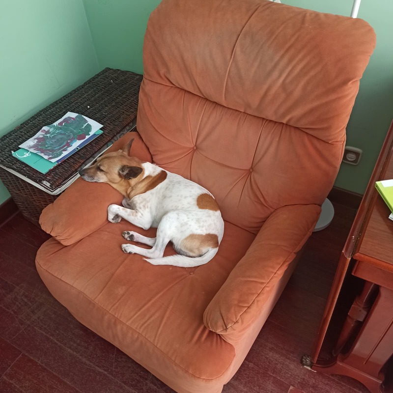 Sillón con apoya-pies