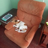 Sillón con apoya-pies