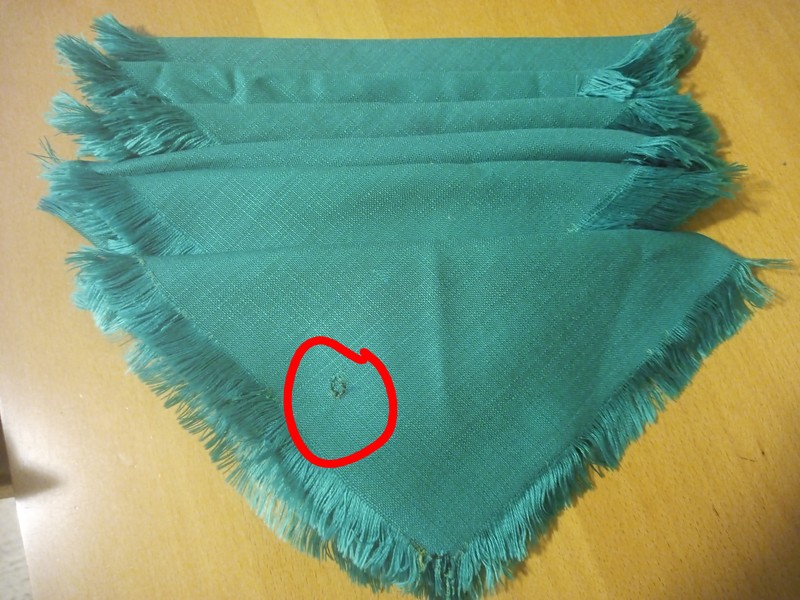 Regalo servilletas verdes de tela.