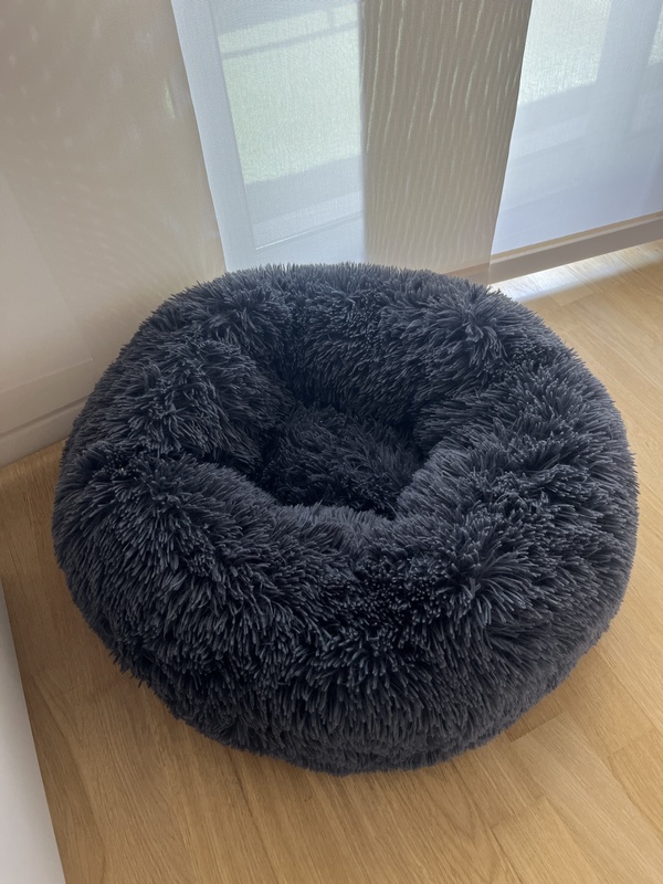 Regalo camita para mascotas