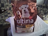 PIENSO PARA PERRO MINI ESTA ABIERTA 