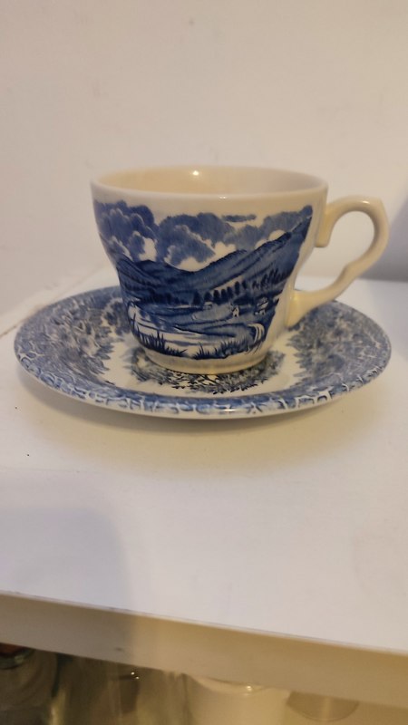Juego de plato y taza 