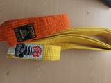 Cinturón judo o karate