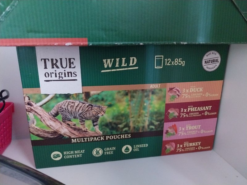 Regalo comida de gatos