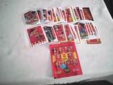 DOY UNOS 50 CROMOS DE LA SELECCION 