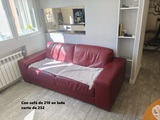 Sofa de cuero