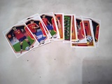 CROMOS DE LA SELICCION 