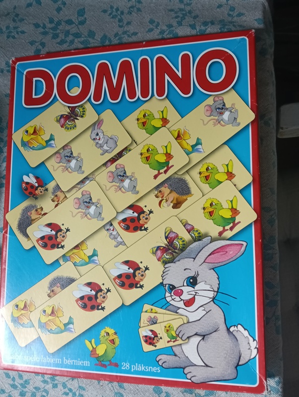 Domino en buen estado 