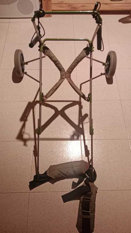 Sillas de ruedas para perros (parálisis)