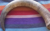 Banya de vaca
