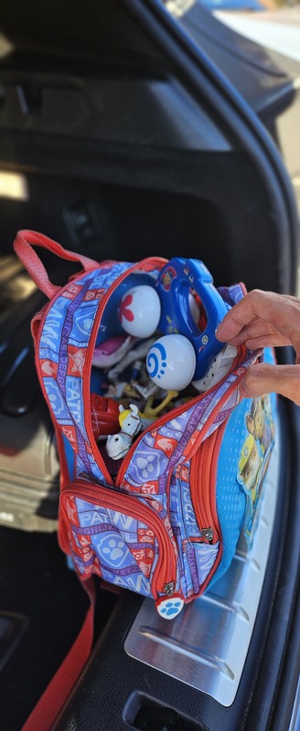 mochila paw patrol