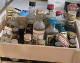 Miniatures