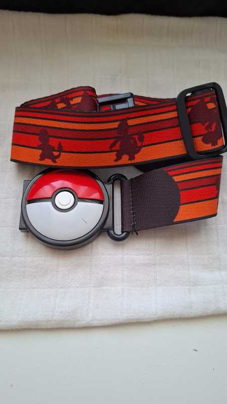 Pokemon cinturón 