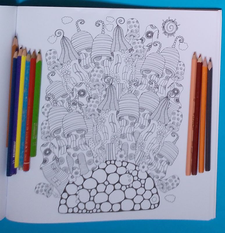 Libro para que coloreen adultos 