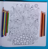 Libro para que coloreen adultos 